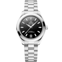 Seamaster Aqua Terra 150M 30&nbsp;mm, steel on steel - 22010302001001