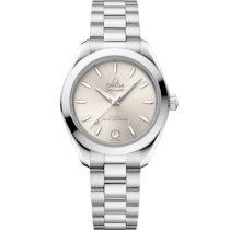 Seamaster Aqua Terra 150M 30&nbsp;mm, steel on steel - 22010302009001